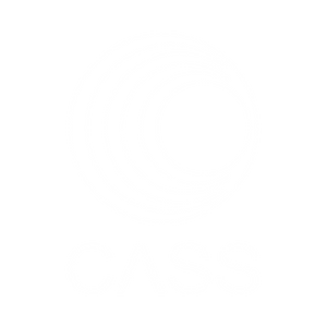 CASSアイコンホワイト