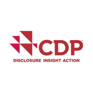 CDP, miembro del centro global