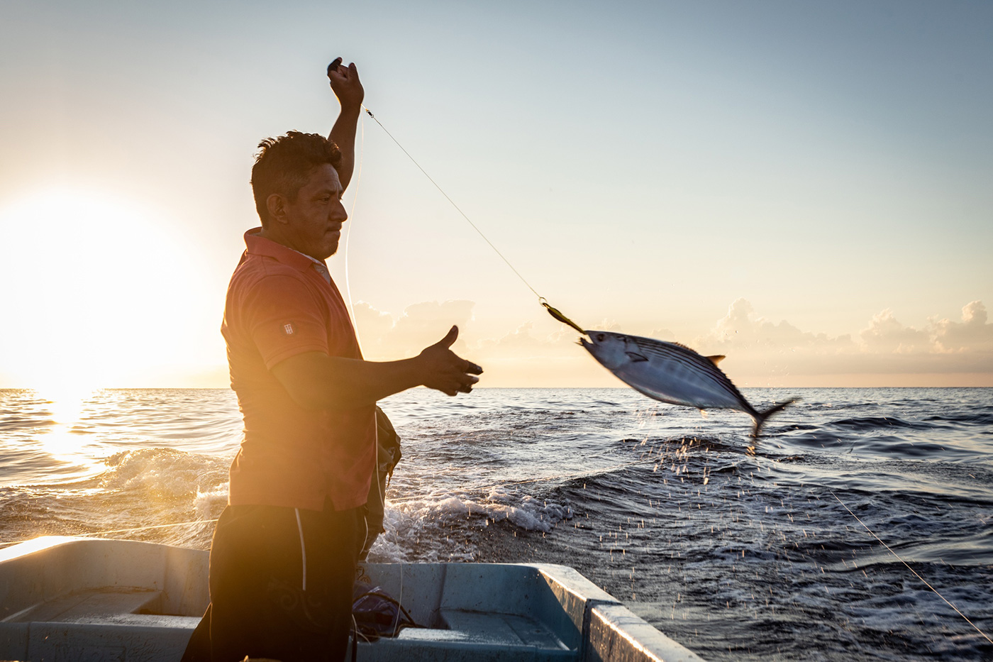 Seorang pria dalam siluet di atas perahu dengan ikan di garis melawan matahari terbenam di latar belakang.