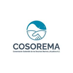 联盟全球中心成员，Cosorema