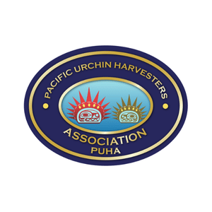 Logo of the Pacific Urchin Harvesters Association (PUHA). The oval-shaped design has a dark blue outer border with gold lettering that reads "PACIFIC URCHIN HARVESTERS ASSOCIATION PUHA." Inside, a gradient blue background features two stylized sea urchins—one red and one green—each containing Indigenous-style artwork within their shapes.