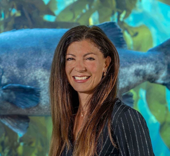 jennifer dianto kemmerly headshot 2023 small low res min