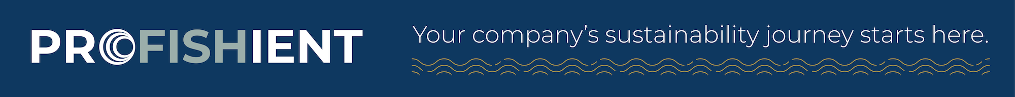 profishient footer thin