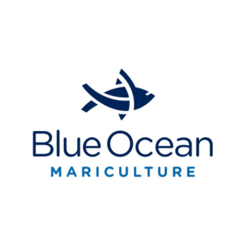 blue ocean mariculture logo square