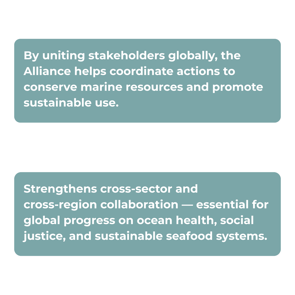 sp pillar1 contrib bold