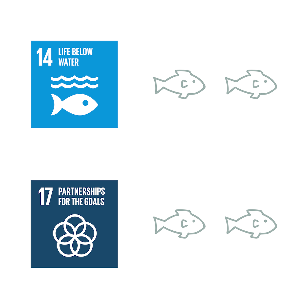 sp pillar1 sdgs horiz with fishes