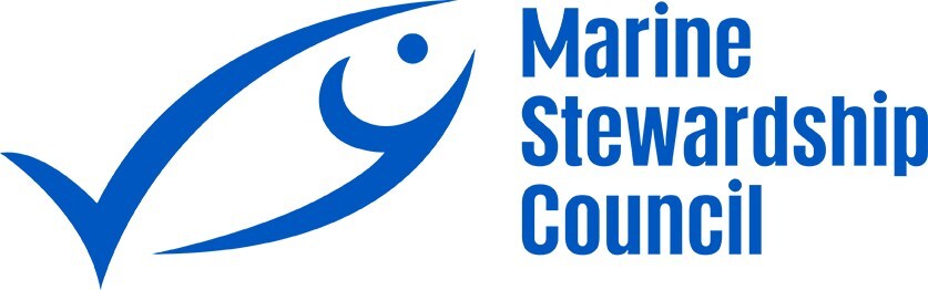msc logo wordmark rgb ocean mid msc blue 1 logo