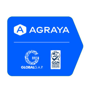 agraya.logo